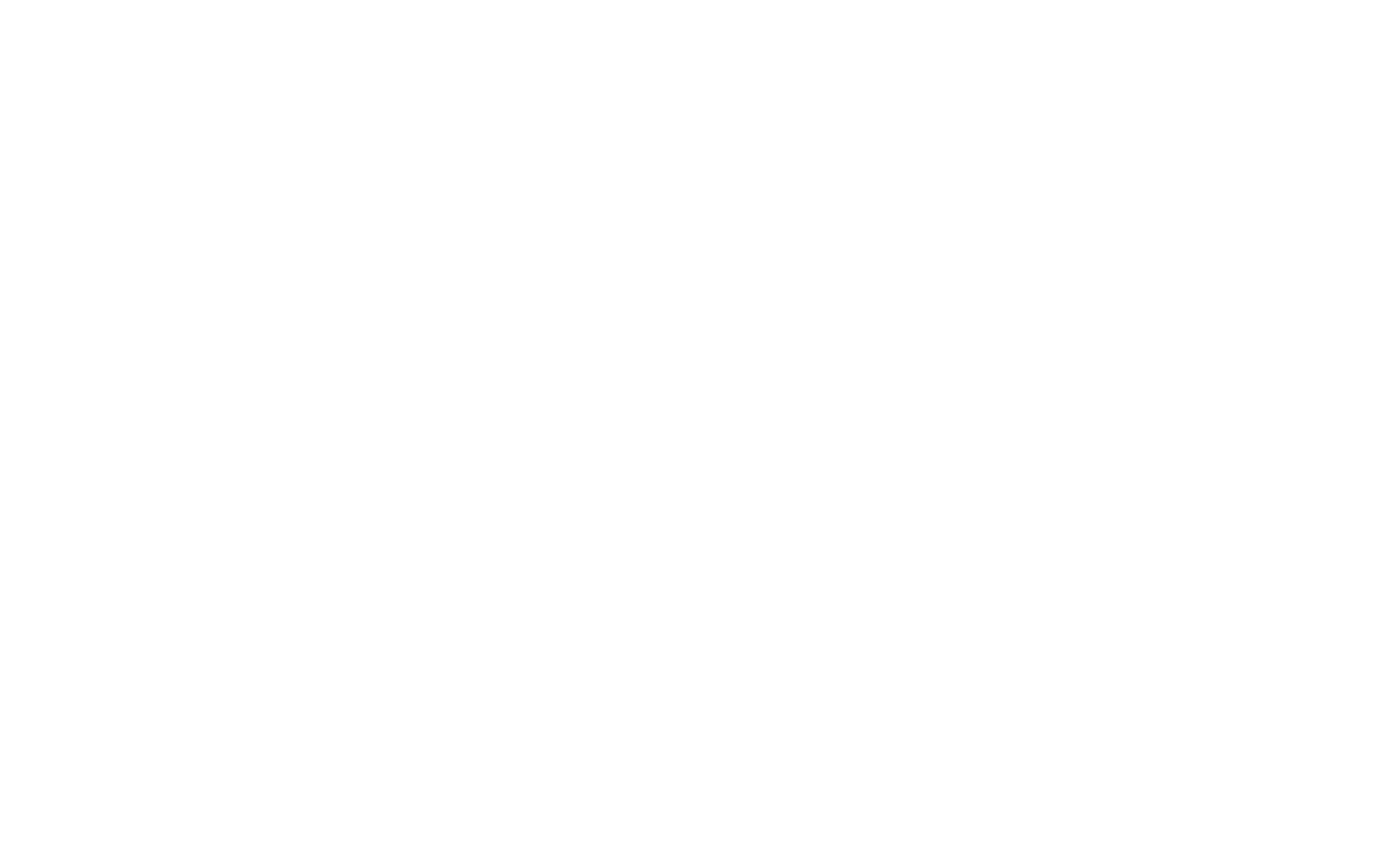 Logo Hoefli Pub_Weiss Kopie
